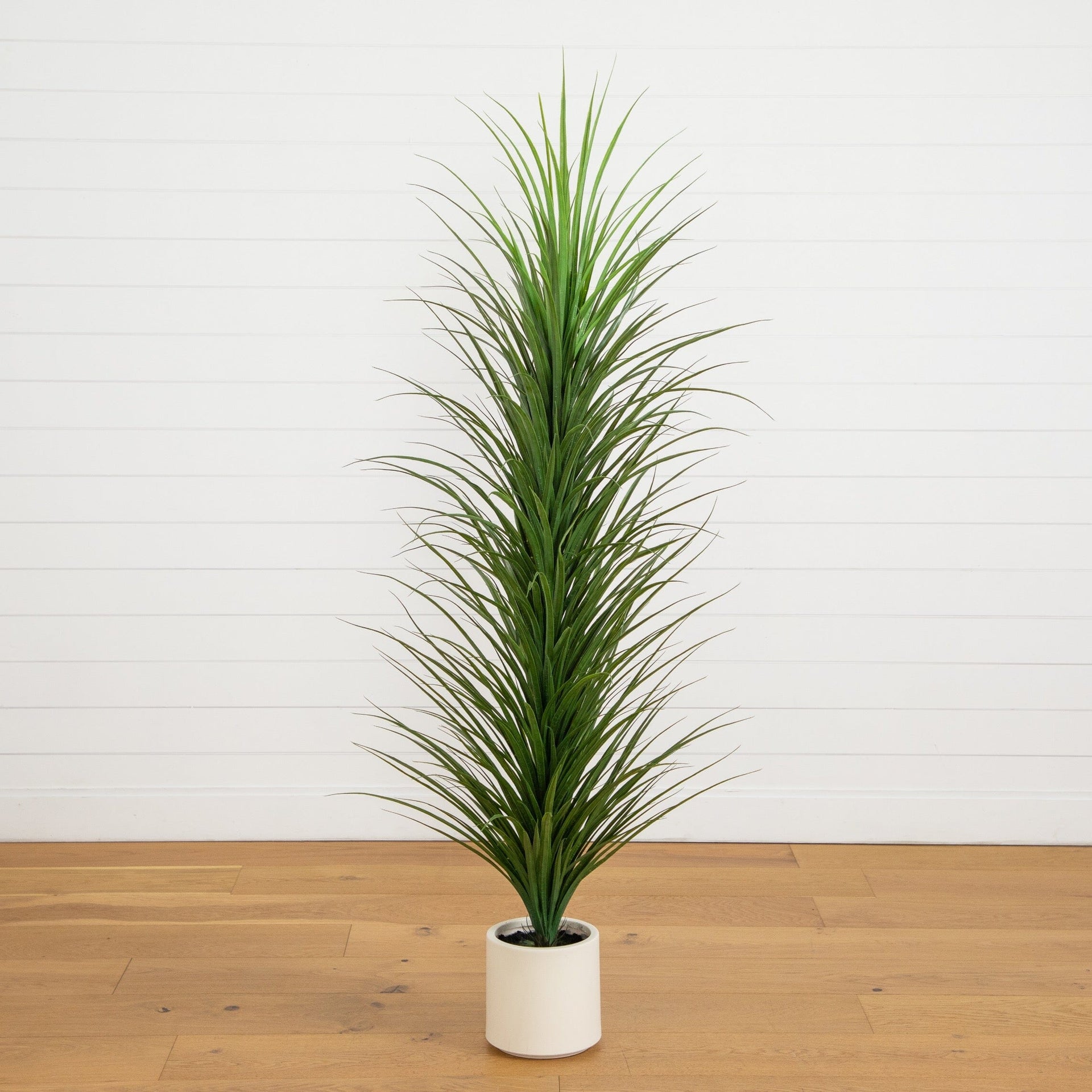 6’ UV Resistant Artificial Grass Plant in White Decorative Planter (Indoor/Outdoor)