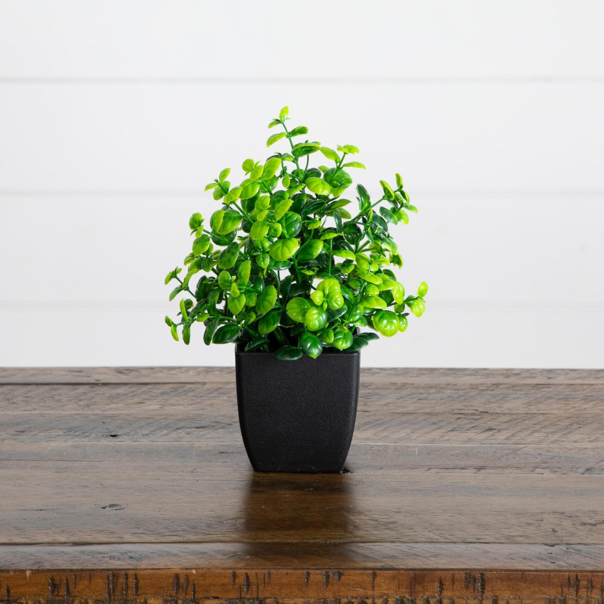 7” Artificial Mixed Topiary Plant in Black Square Pot - Set of 4