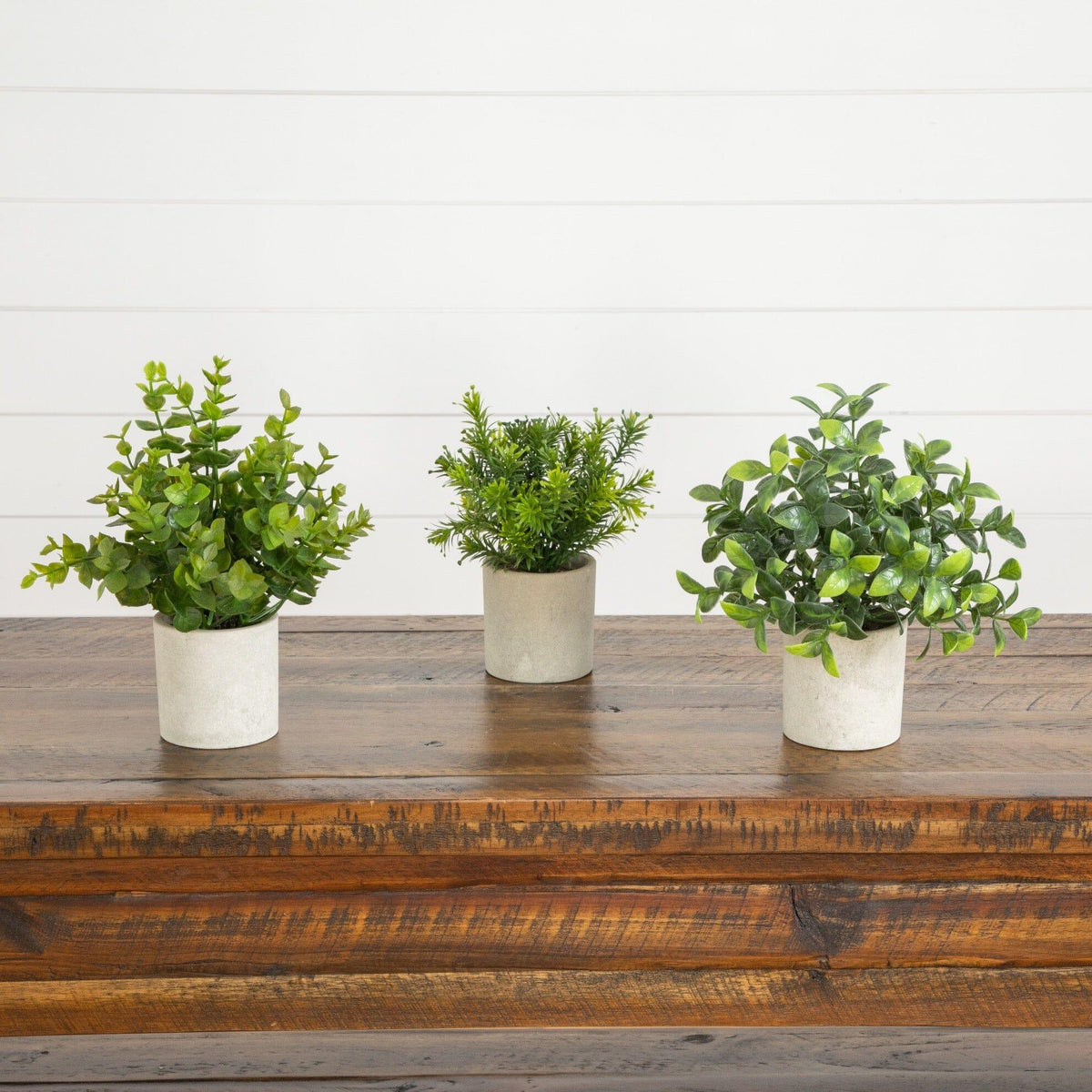 8” Artificial Mini Greenery Potted Plant - Set of 3