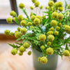 Faux Silk Artificial Flower Pompom Stem 28" Tall - Green / One Stem