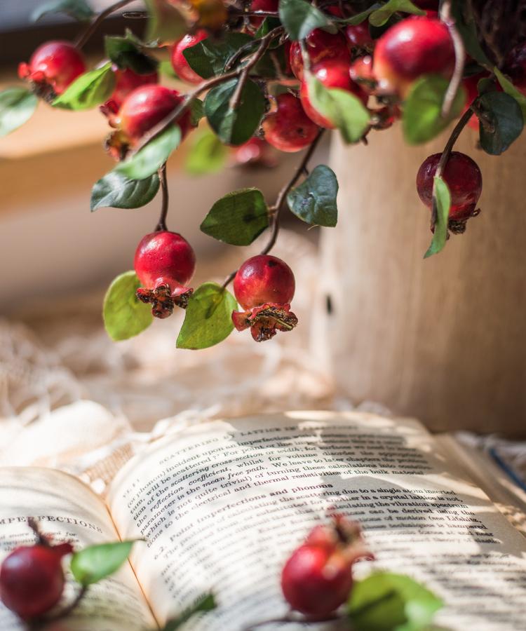 Artificial Fruit Pomegranate Fruit Bouquet 12