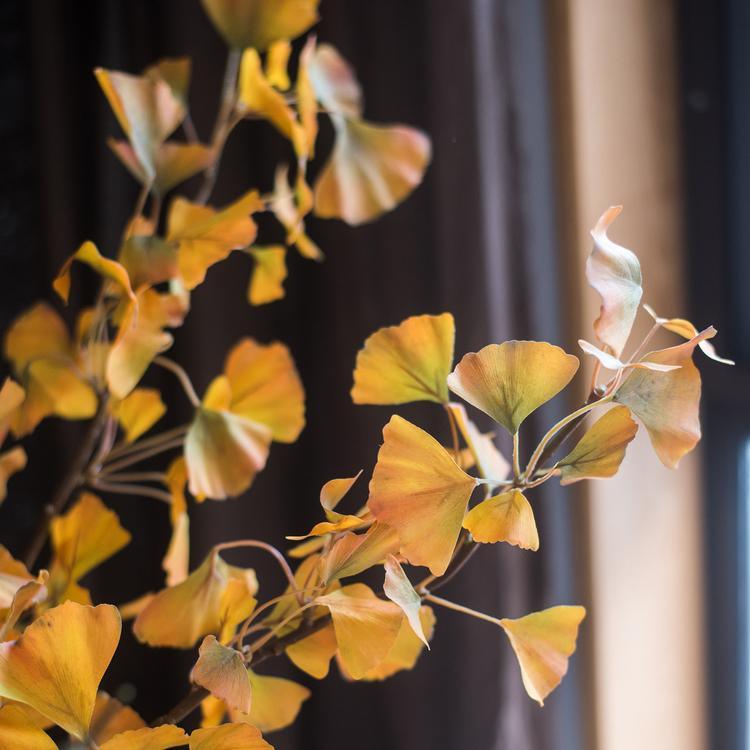 Artificial Ginkgo Stem in Yellow 37