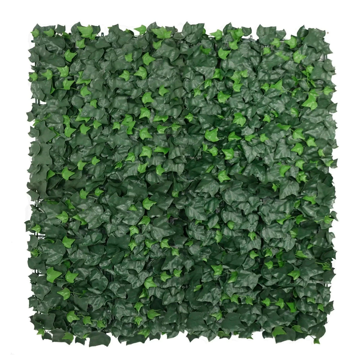 Sample Panel – Boston Ivy Green Wall (Small Sample)