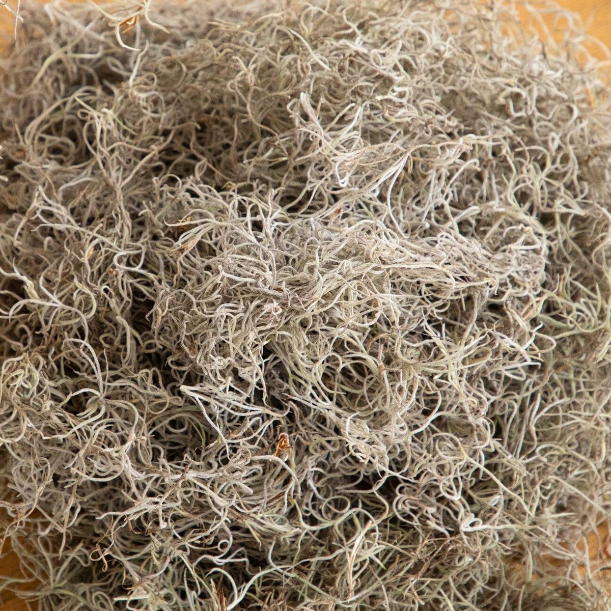 Natural Spanish Moss - 3Lbs