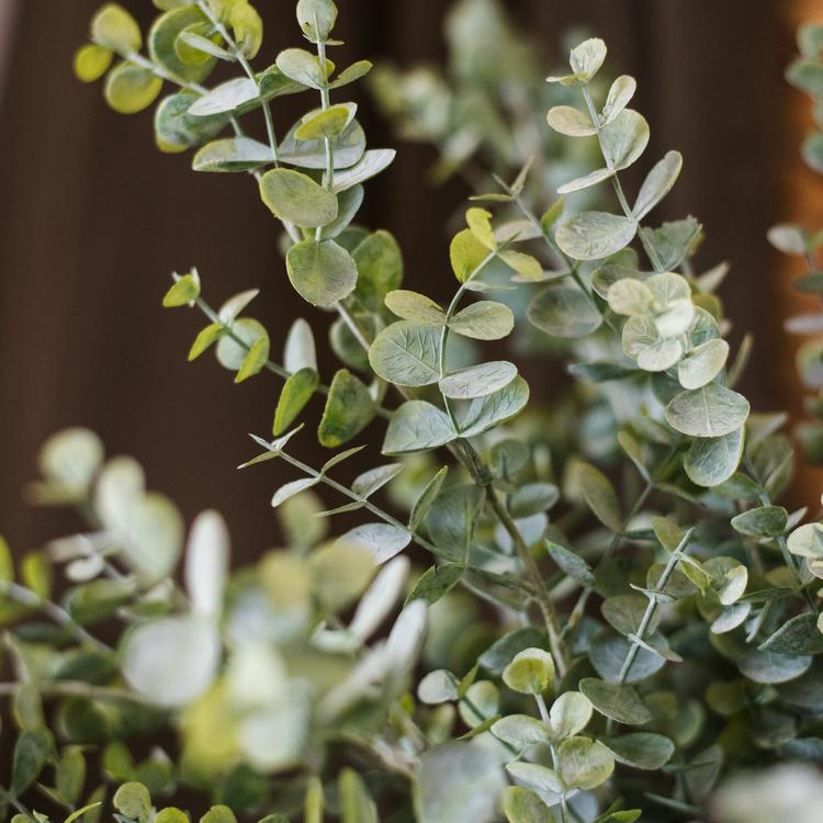 Artificial Faux Plant Eucalyptus Stem Green 26