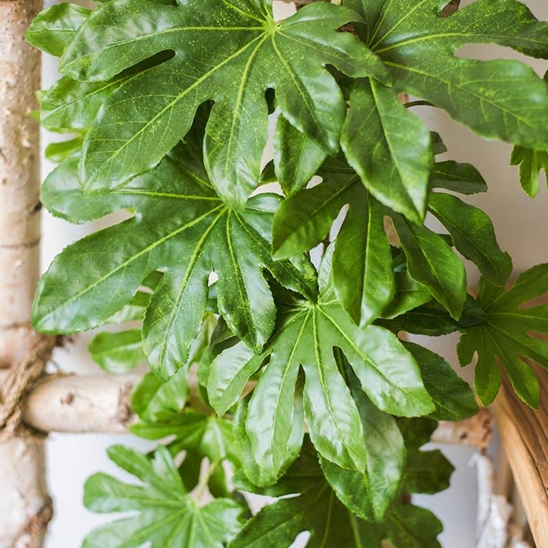 Artificial Plant Fatsia Leaf Vines 32