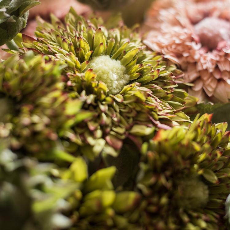 Artificial Sunflower Bouquet in Green or Orange 18