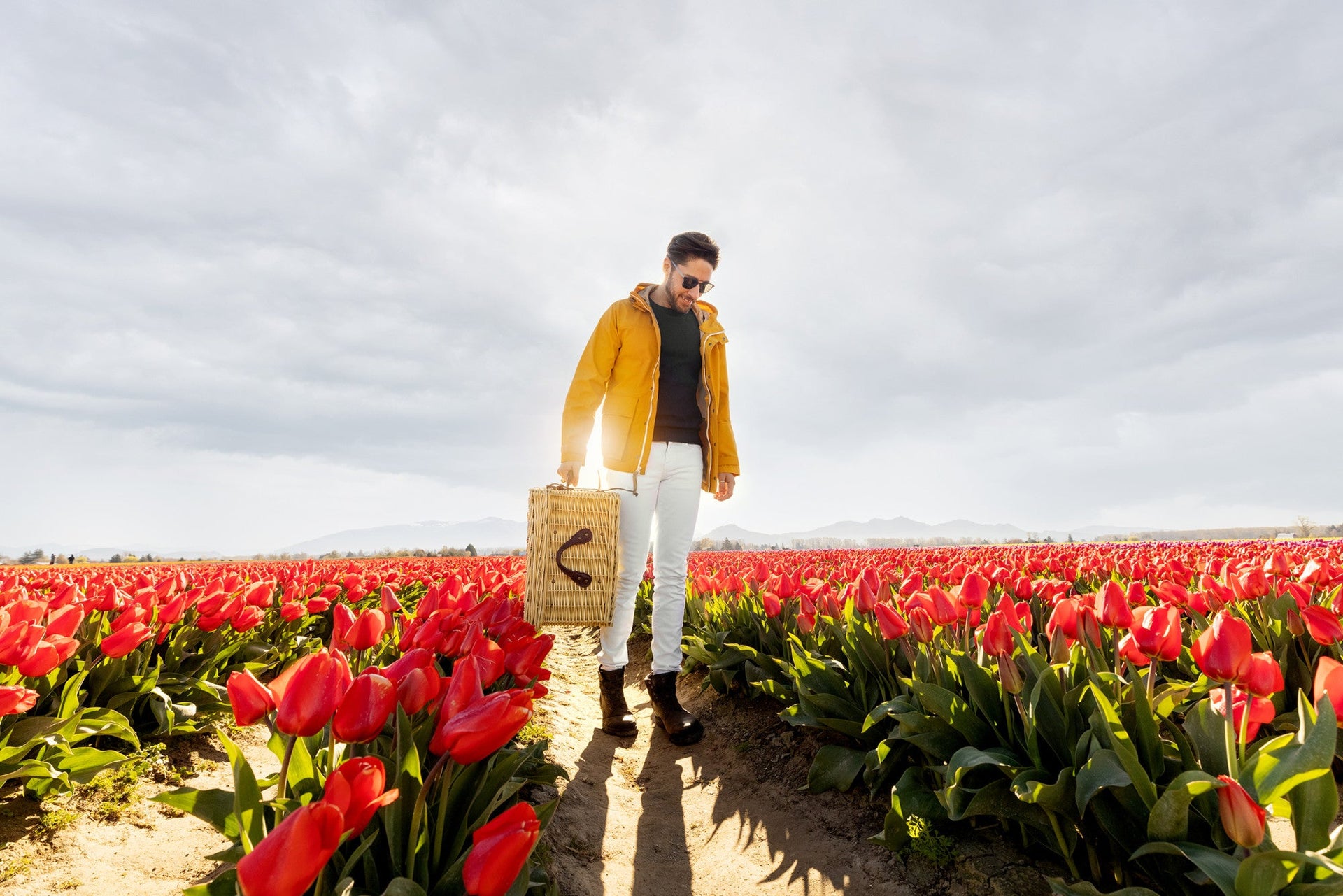 Charleston Picnic Basket for 4 Picnic Time Family of Brands