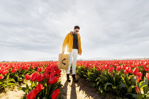 Charleston Picnic Basket for 4 Picnic Time Family of Brands