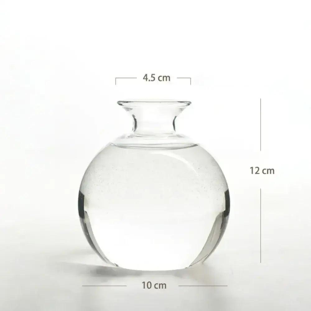 Clear Glass Hydroponic Vase for Avocado Seeds