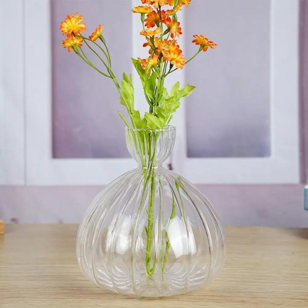 Clear Glass Hydroponic Vase for Avocado Seeds