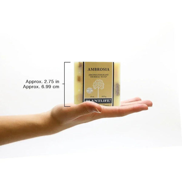 Ambrosia Bar Soap - Gifts for You 'n Me