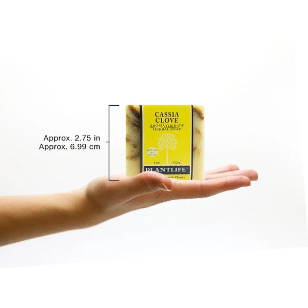 Cassia Clove Bar Soap - Gifts for You 'n Me