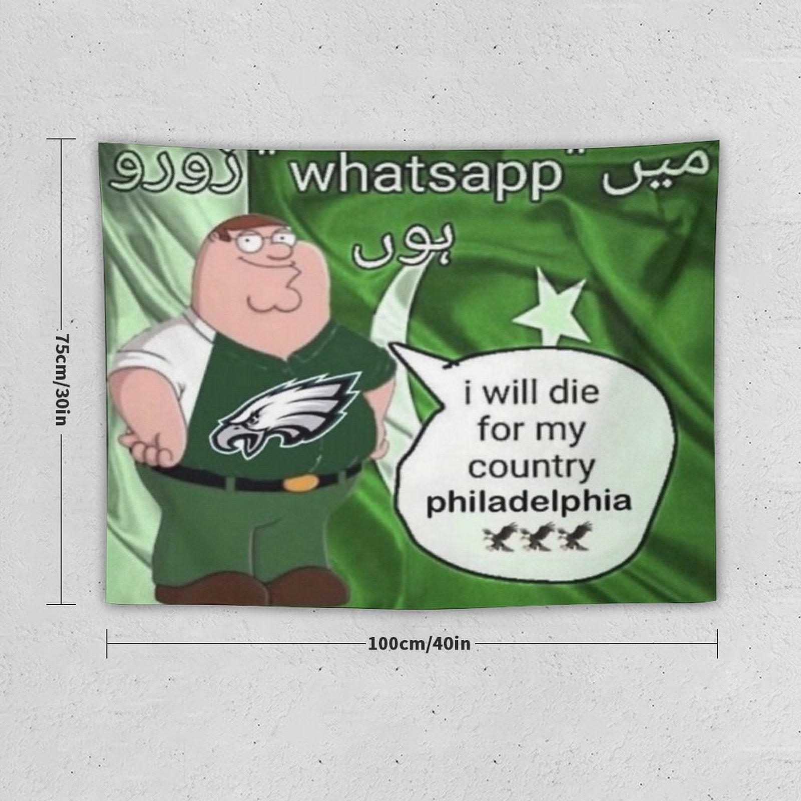 I Will Die For My Country Philadelphia Eagles Tapestry BionZax