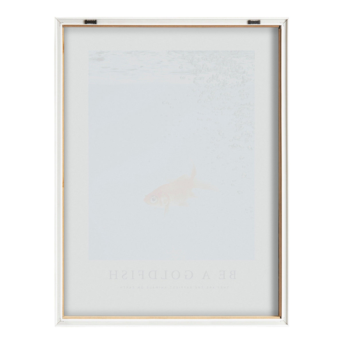 Blake Be A Goldfish Framed Printed Glass by The Creative Bunch Studio