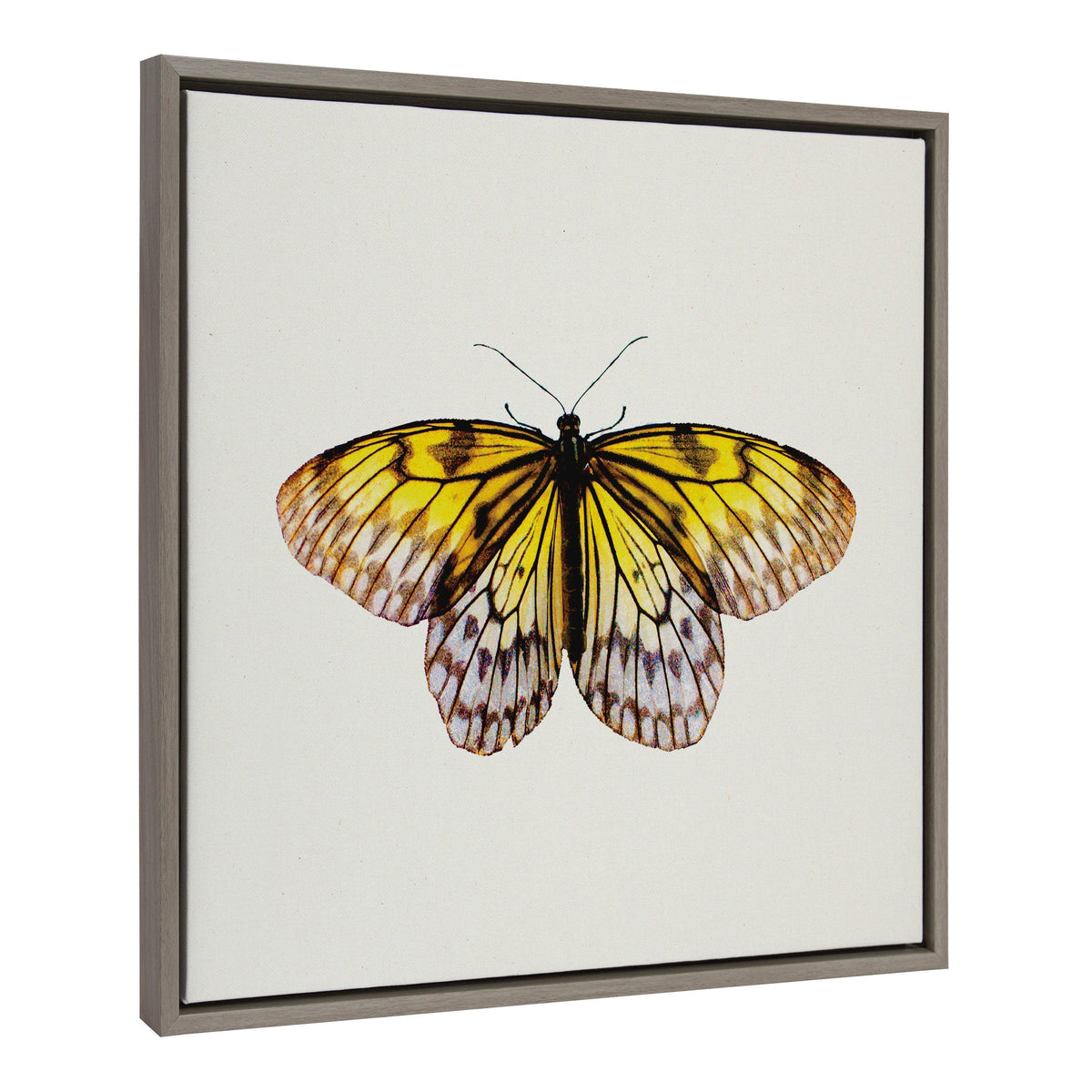 Sylvie Limon Framed Canvas by Robert Cadloff of Bomobob