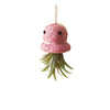 Octopus Planter for Air Plants