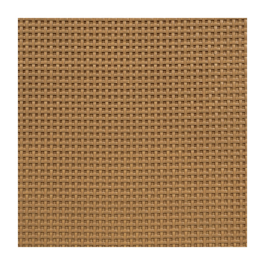 Salina Woven Cane Accent Cabinet - Toasted Almond by Martha Stewart
