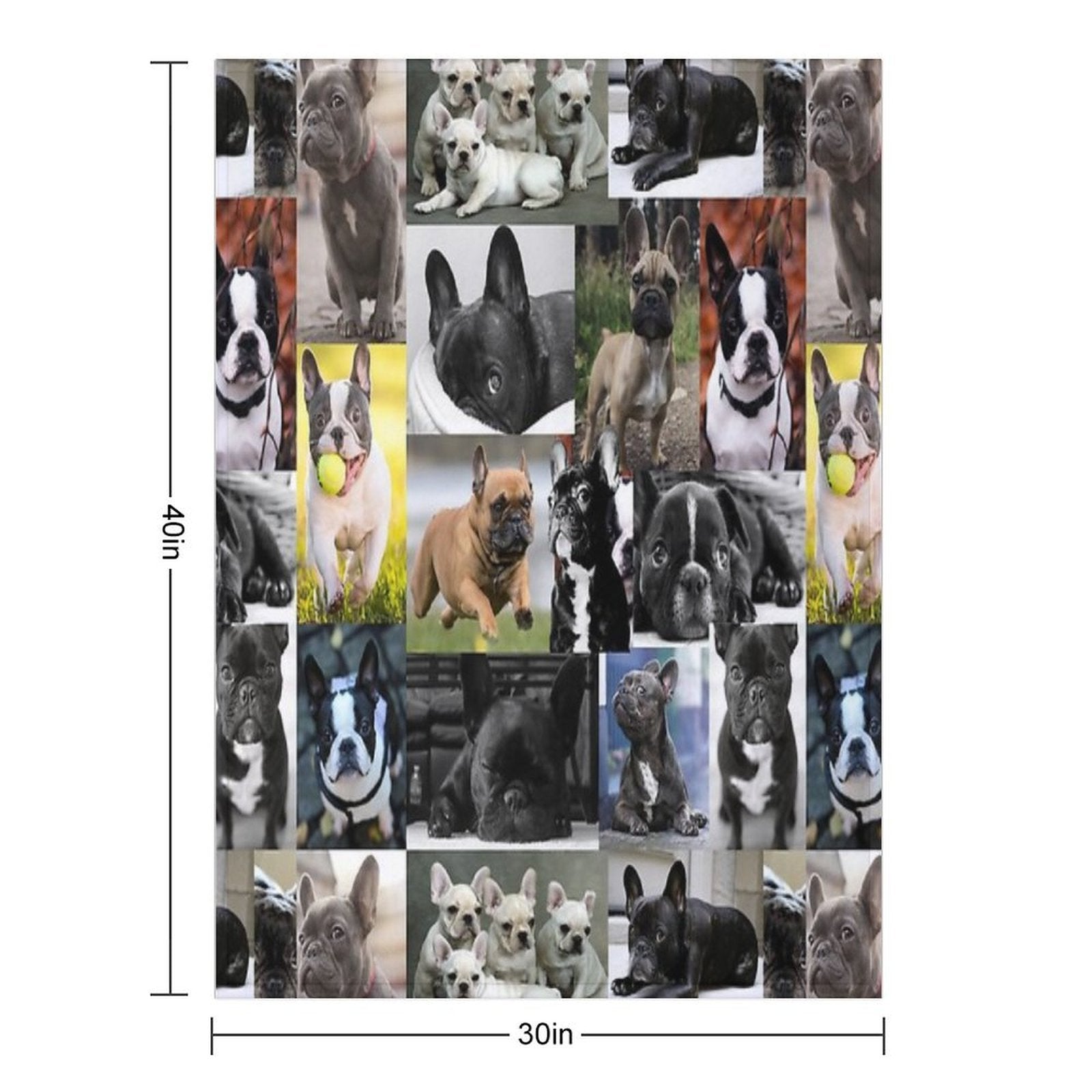 French Bulldog Dog Breed Collage Anti-pilling Throw Blanket