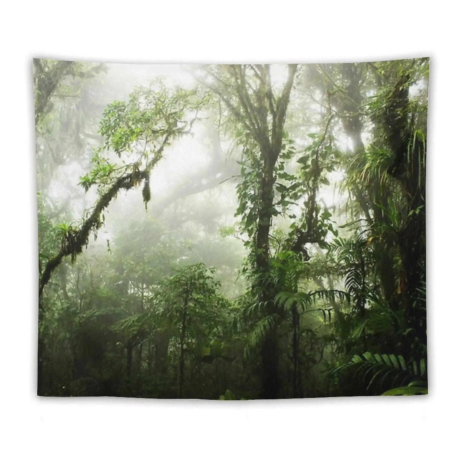 Cloud Forest Tapestry