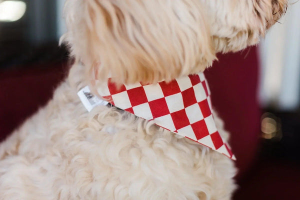 Red Checkered Reversible Dog Bandana - Gifts for You 'n Me