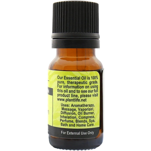 Basil Essential Oil - Gifts for You 'n Me