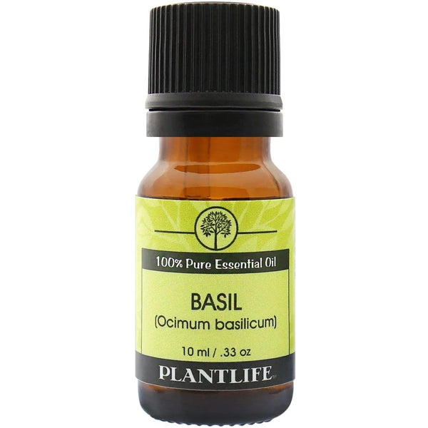 Basil Essential Oil - Gifts for You 'n Me