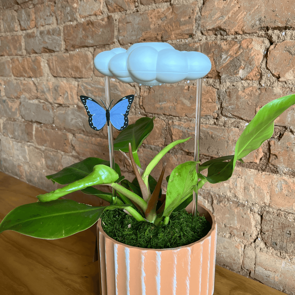 Original Dripping Rain Cloud with Blue Butterfly Charm