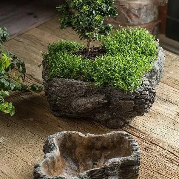 Cement Burled Bark Planter