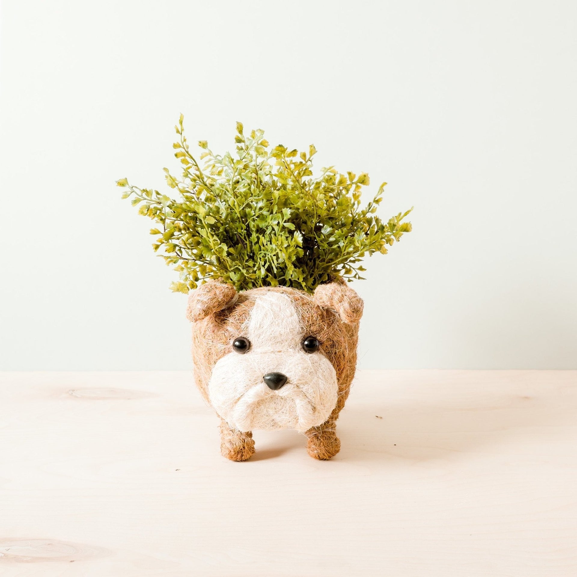 English Bulldog Planter