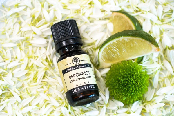 Bergamot Essential Oil - Gifts for You 'n Me