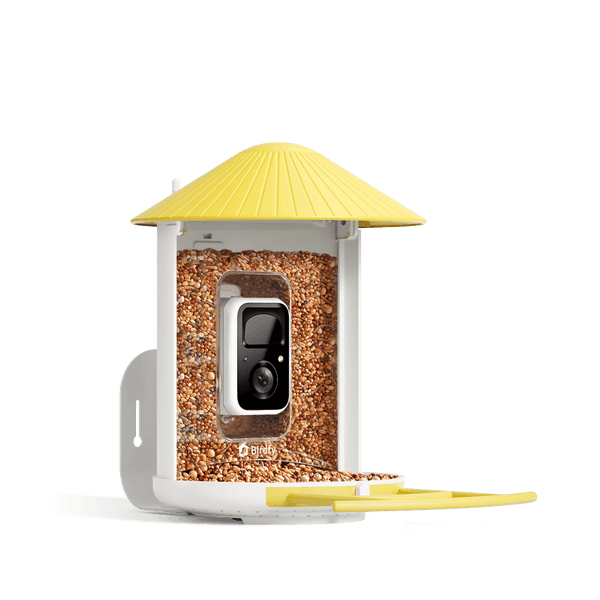 Birdfy Feeder - AI-Powered Smart Bird Feeder with Camera
