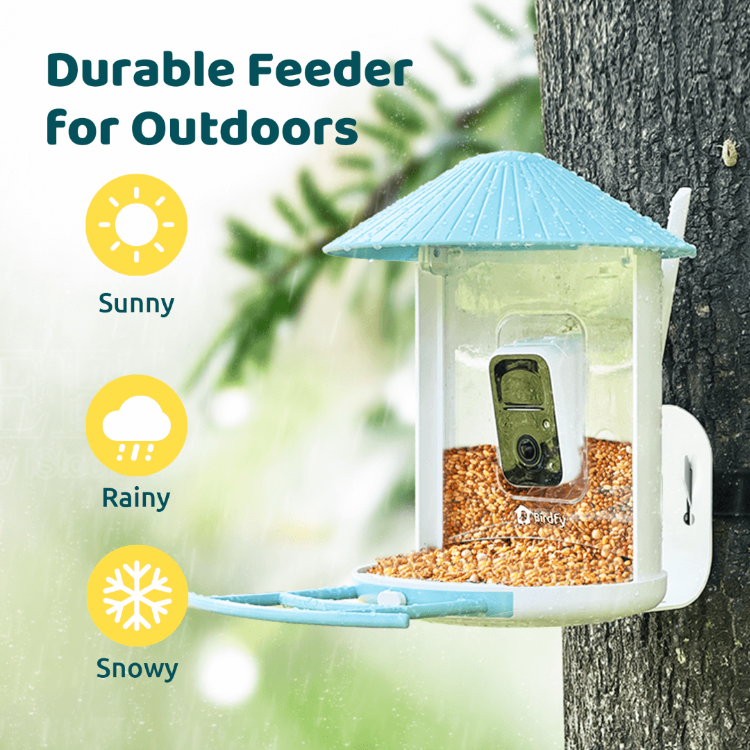 Birdfy Feeder with Solar Panel - Solar-Powered Smart Bird Feeder with Camera
