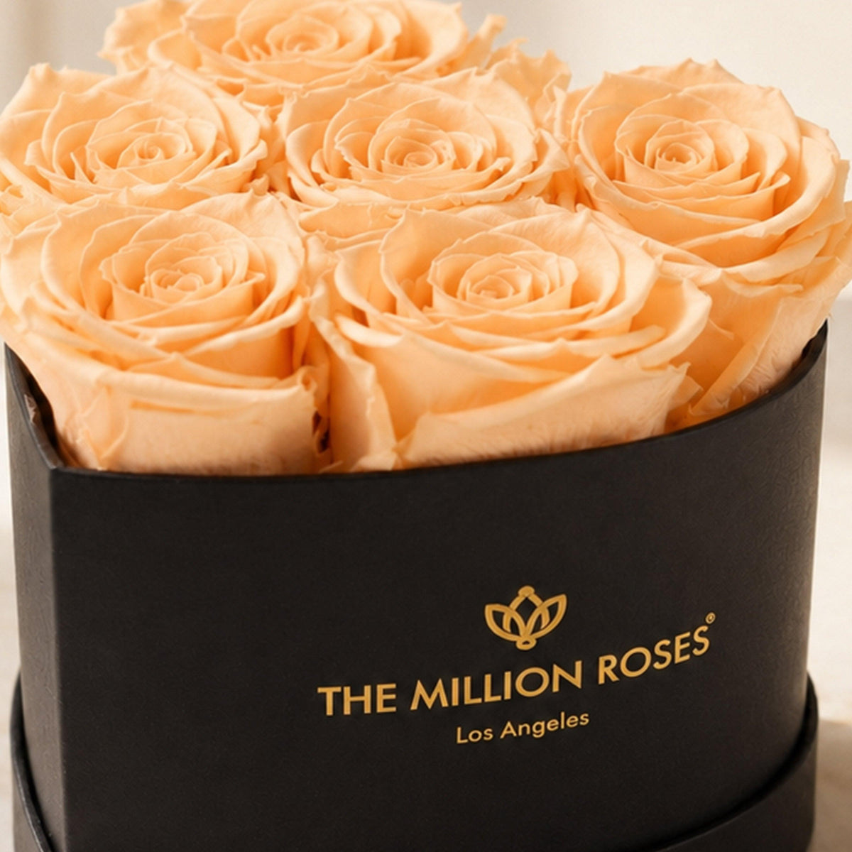 Baby Heart Black Box | Peach Roses