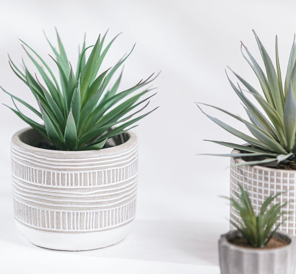 Artificial succulent plant in stripe patterned concrete pot 8