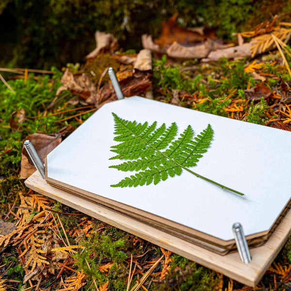 Botanical Heirloom Flower Press Kit