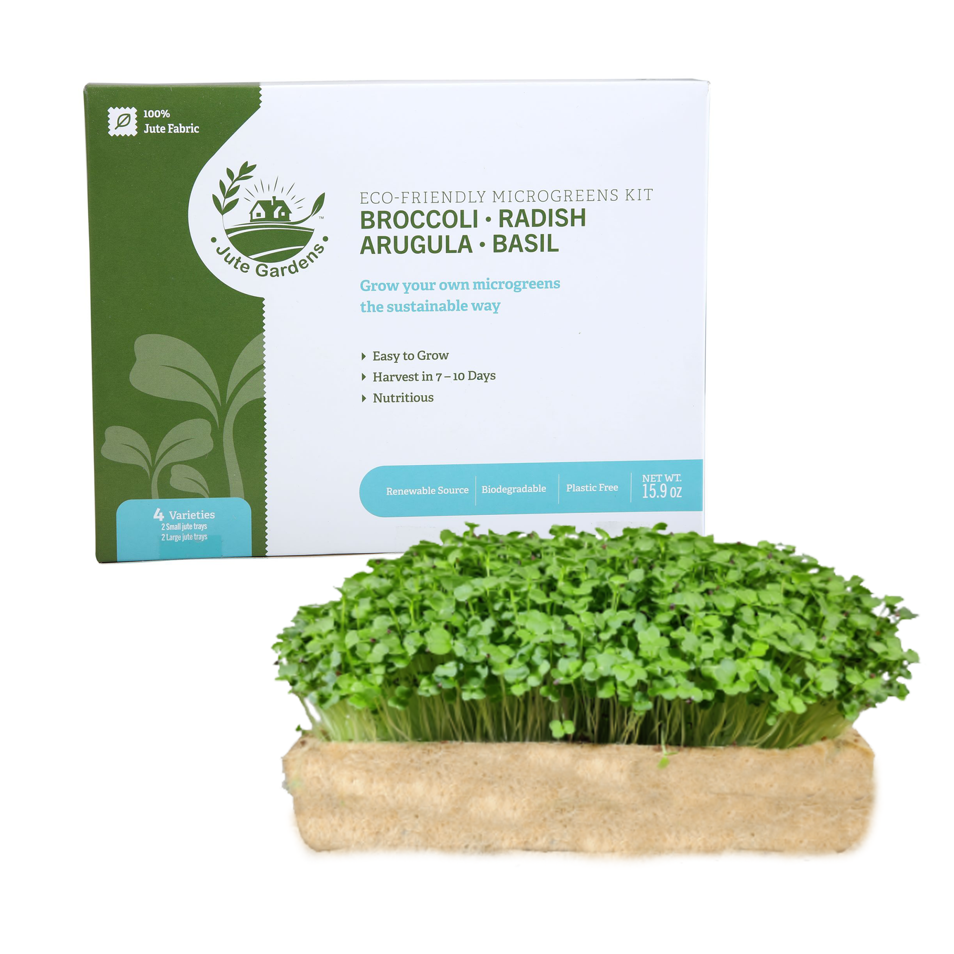 Jute Gardens Microgreen Growing Kit – 4 Seed Variety (Broccoli, Radish, Basil & Arugula), Eco-Friendly Indoor Gardening Set