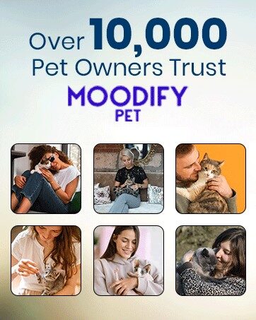 MoodifyPet Cat Litter Box Odor Neutralizer — 3 Pack (Multi-Cat)
