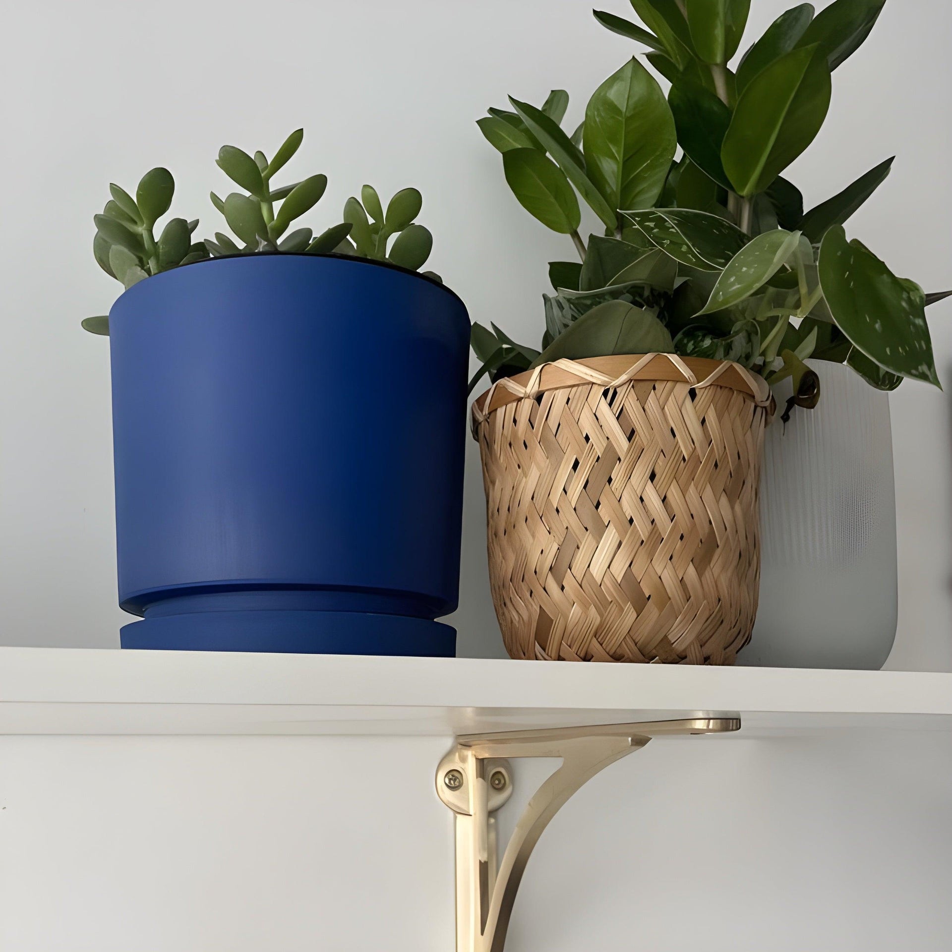 Arched Shelf Bracket - Brass Brushed/Satin