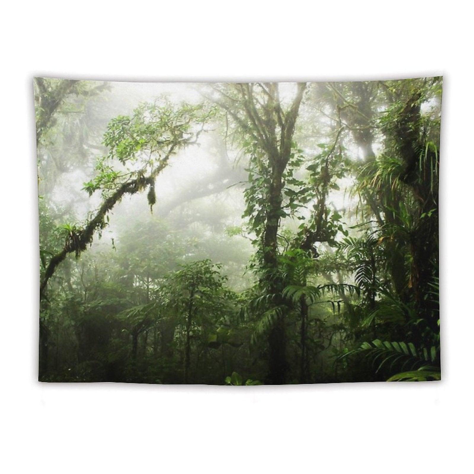 Cloud Forest Tapestry
