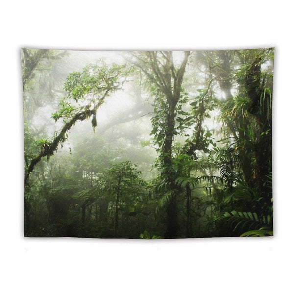 Cloud Forest Tapestry