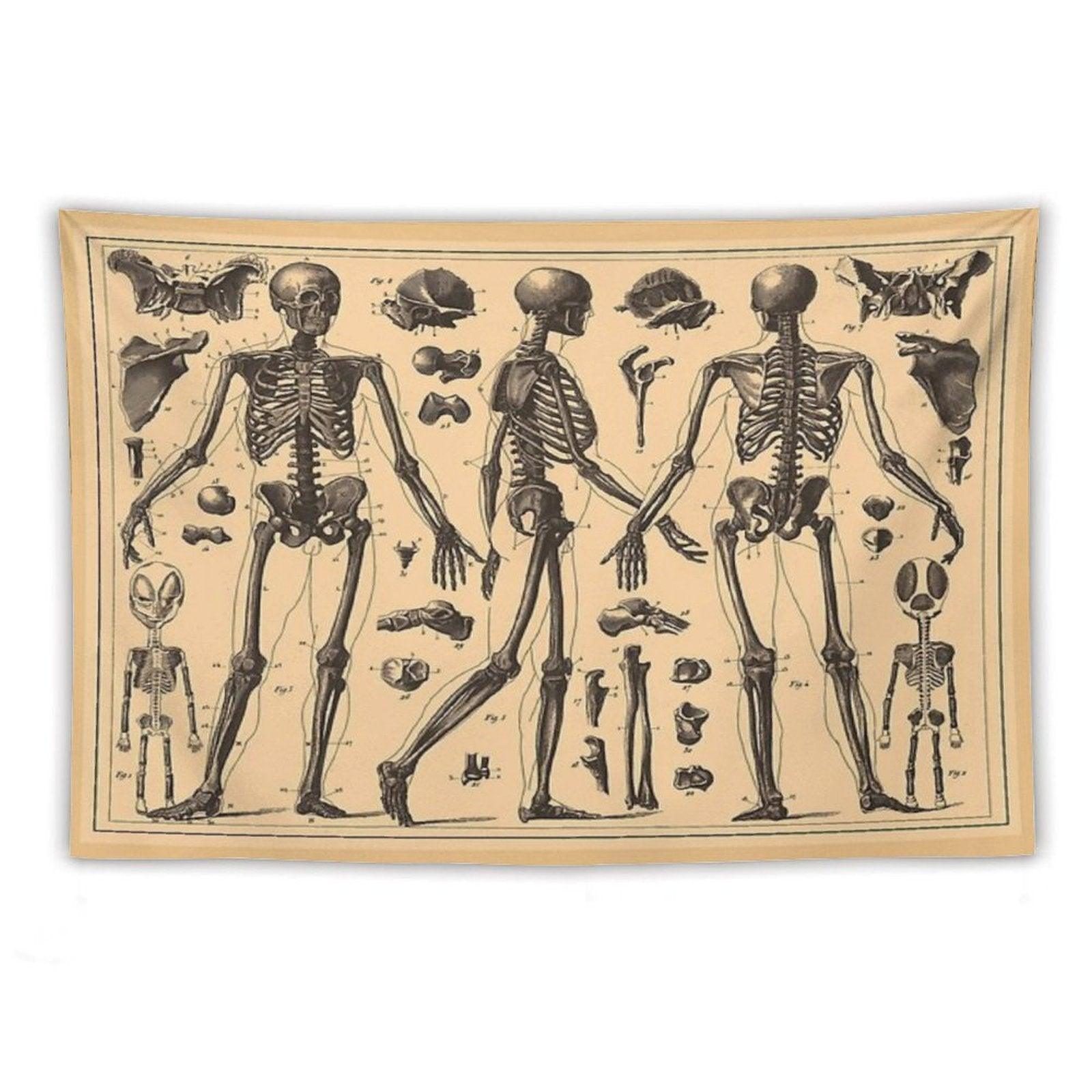 Vintage Human Skeleton Anatomy Diagram Tapestry