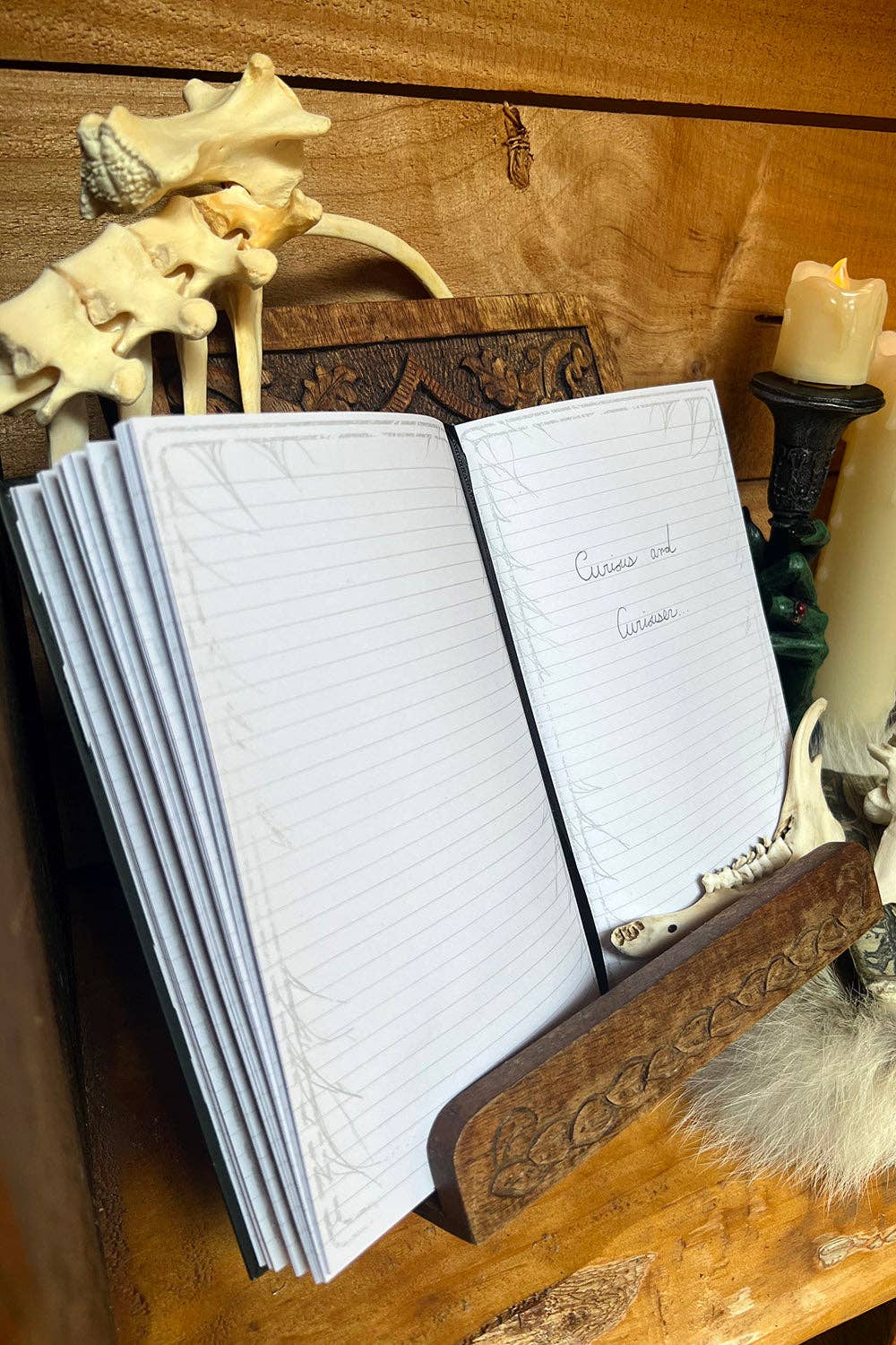 Alice in Murderland Journal