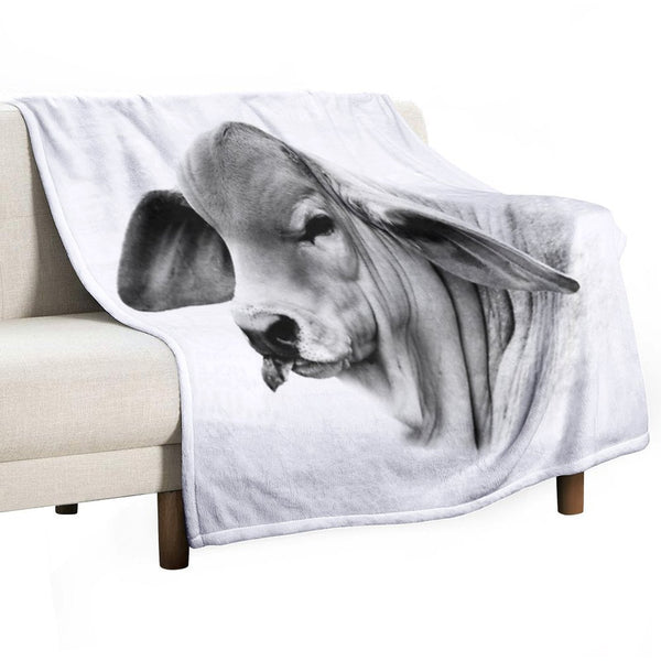 BRAHMAN CALF PORTRAIT, WALL ART AND DESIGNS Compact Throw Blanket