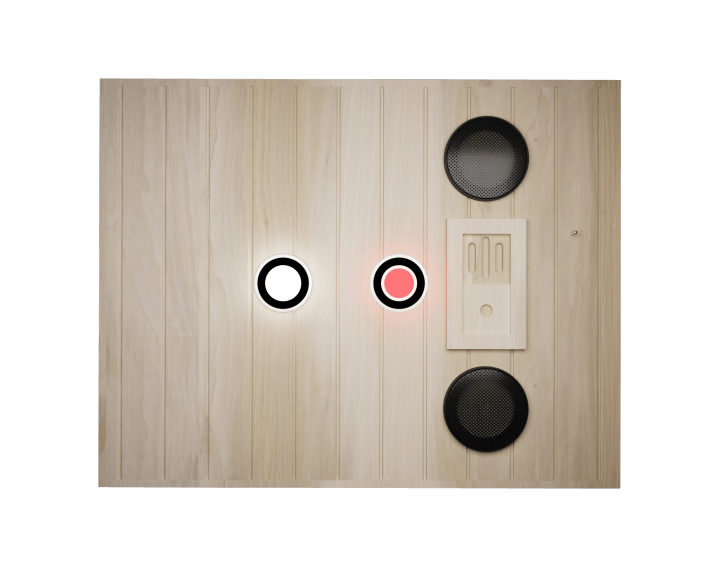 XY-909MB-R Far Infrared Sauna Room