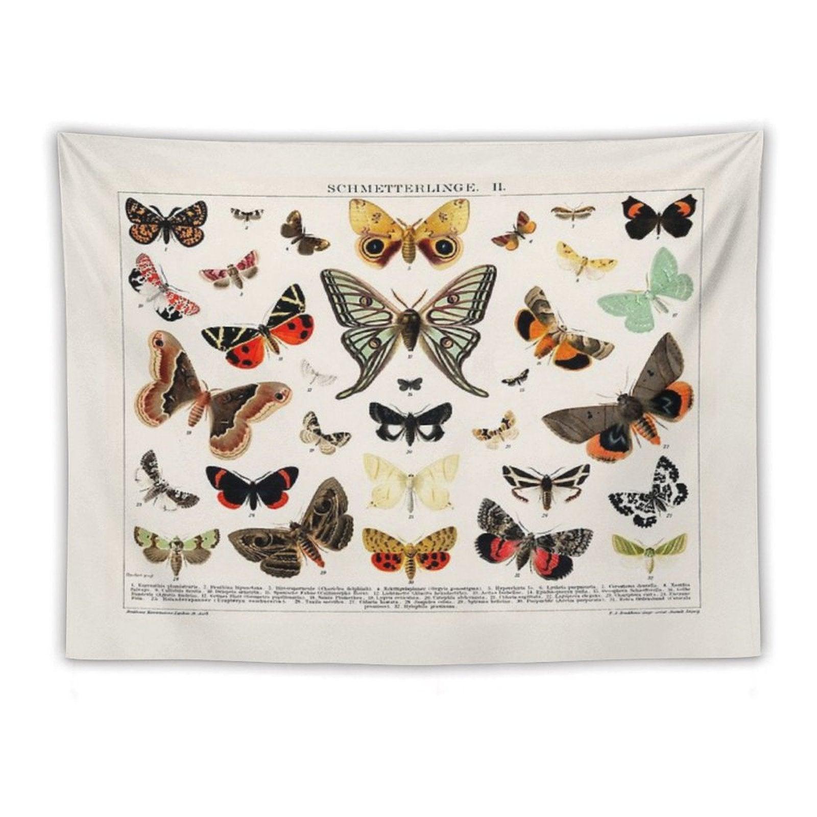 1894 Antique Butterfly Classification Illustration Tapestry