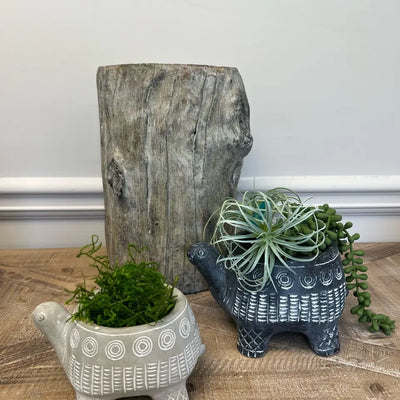 CEMENT TURTLE PLANTER IN BLACK