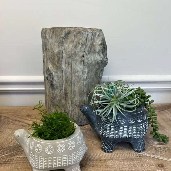 CEMENT TURTLE PLANTER IN BLACK VagabondVintage