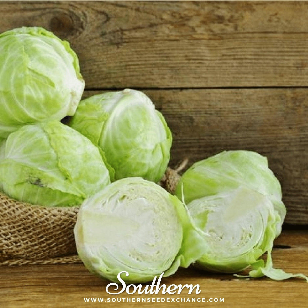 Copenhagen Market Cabbage – 100 Seeds