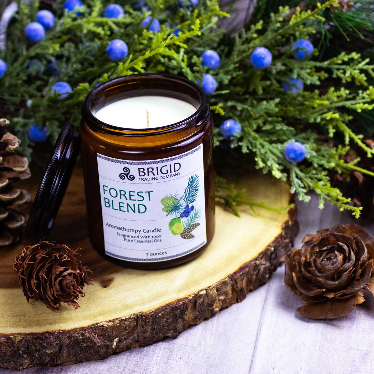 Forest Blend Soy Wax Candle - Juniper, Pine, Balsam, Cedar, and Lime